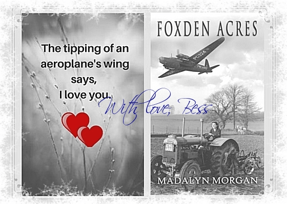 Foxden Acres winter With love Bess