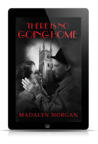 NoGoingHome-3D-ereader-WEB