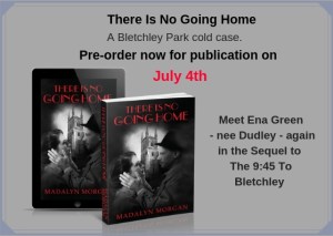 There Is No Going Home Poster for pre order